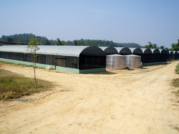 CL080217-014.jpg