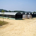 CL080217-014.jpg