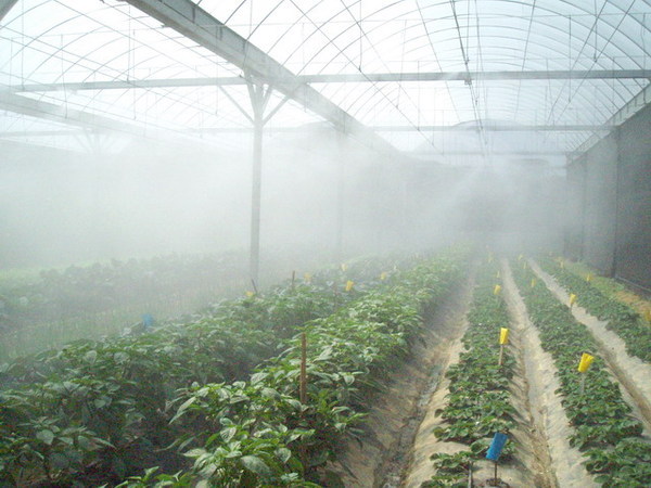 CL080217-016.jpg