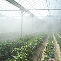CL080217-016.jpg