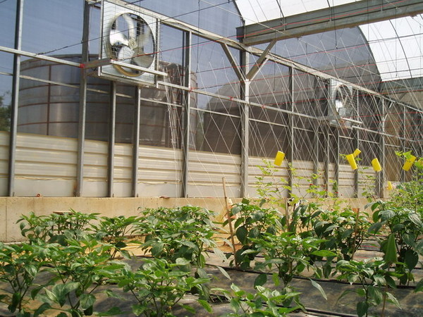CL080217-017.jpg