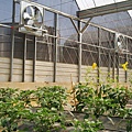 CL080217-017.jpg
