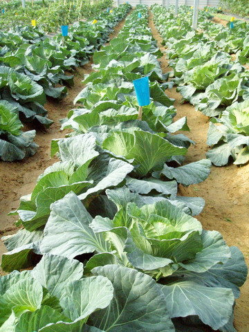 CL080217-018.jpg