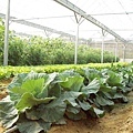 CL080217-019.jpg