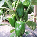 CL080217-028.jpg