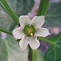 CL080217-029.jpg