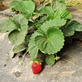 CL080217-031.jpg