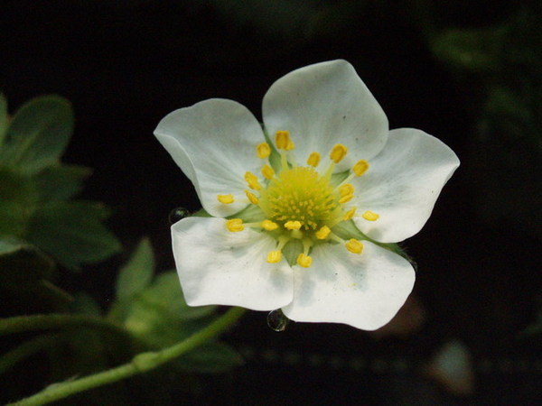 CL080217-032.jpg