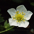 CL080217-032.jpg