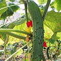 CL080217-035.jpg