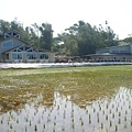 CL080217-005.jpg