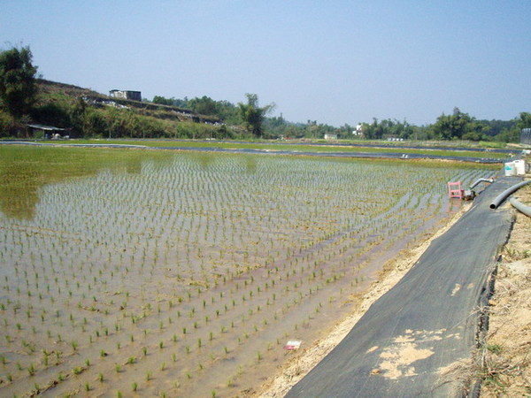 CL080217-006.jpg