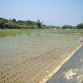 CL080217-006.jpg