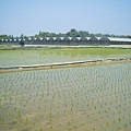 CL080217-007.jpg