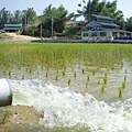 CL080217-009.jpg