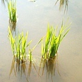 CL080217-010.jpg