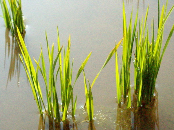 CL080217-012.jpg