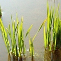 CL080217-012.jpg