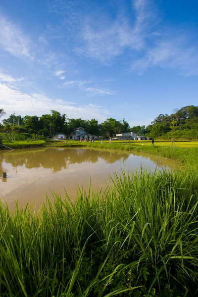 迦南地農場080608-199