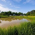 迦南地農場080608-199