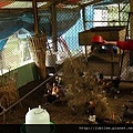 www.zionfamily.tw-190.jpg