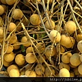 212LO100804-045.jpg