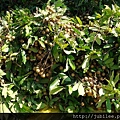 212LO100804-053.jpg