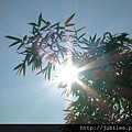 212LO100804-152.jpg