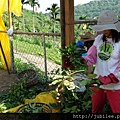 212LO100804-054.jpg
