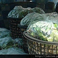 212LO100804-137.jpg