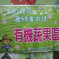 SY090613-004.JPG