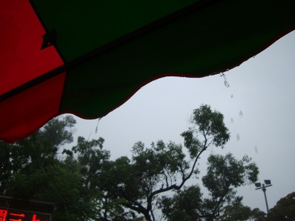 SY090613-012.JPG