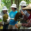 約瑟地糧倉100707-嘉義台南楠西菠蘿蜜園