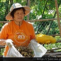 212LO100804-064.jpg