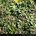 212LO100804-056.jpg