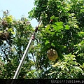 212LO100804-100.jpg