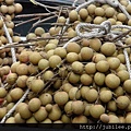 212LO100804-149.jpg