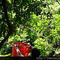 212LO100804-035.jpg