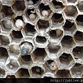 212LO100804-110.jpg