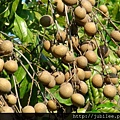 212LO100804-115.jpg