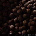 212LO100804-147.jpg