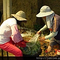 212LO100804-065.jpg