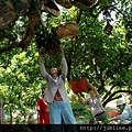 212LO100804-036.jpg
