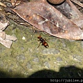 212LO100804-097.jpg