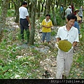 約瑟地糧倉100707-嘉義台南楠西菠蘿蜜園