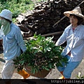 212LO100804-011.jpg