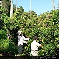 212LO100804-010.jpg