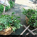 212LO100804-051.jpg
