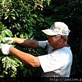 212LO100804-007.jpg