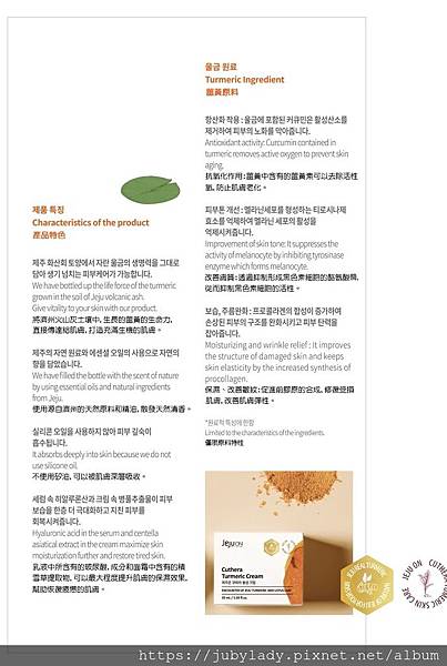 試用